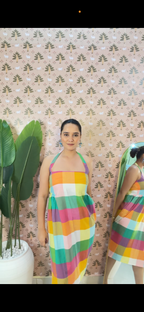 Multi Check Dress